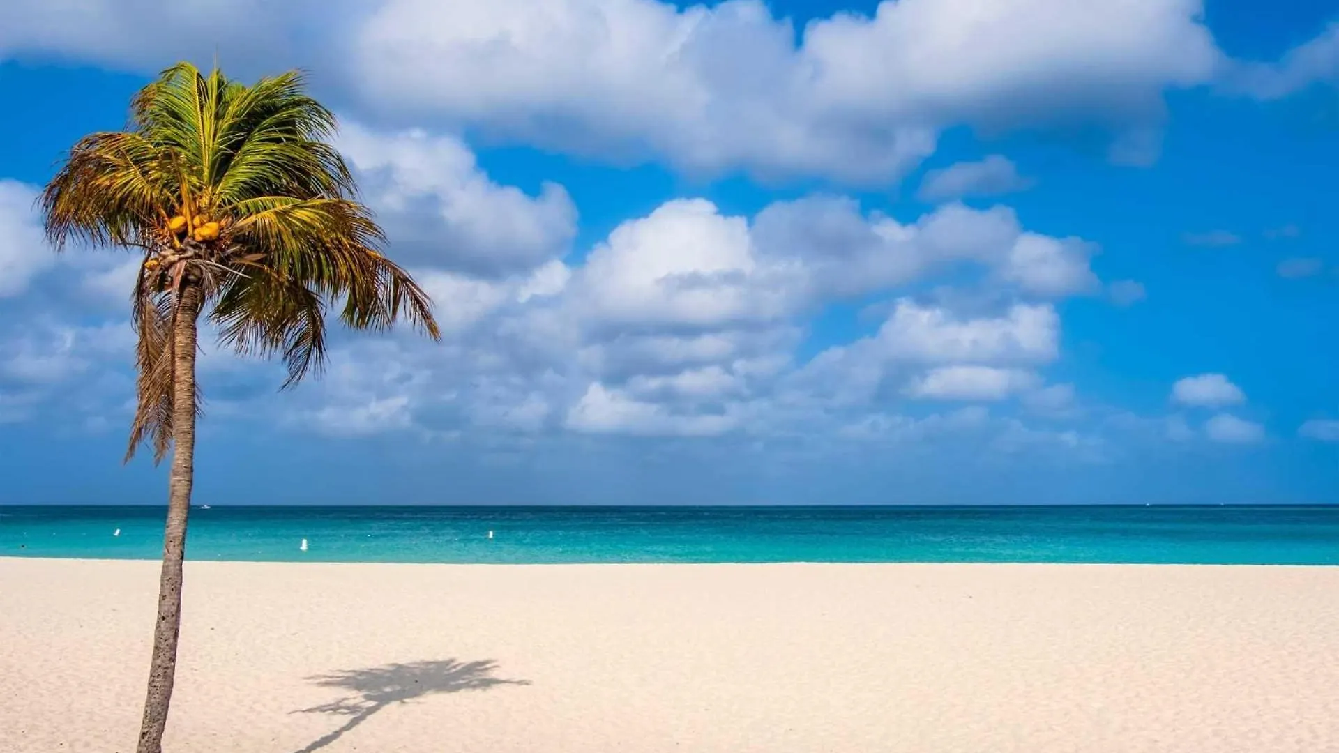 Eagle Beach - Sunset Dreams 2Br Condo - Lv303 Palm Beach Aruba