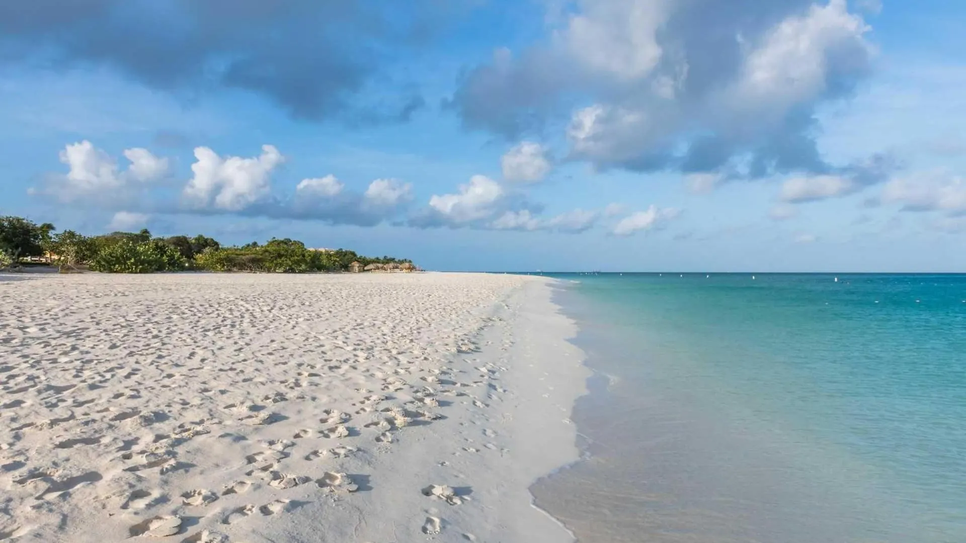 Eagle Beach - Sunset Dreams 2Br Condo - Lv303 Palm Beach Vakantiehuis