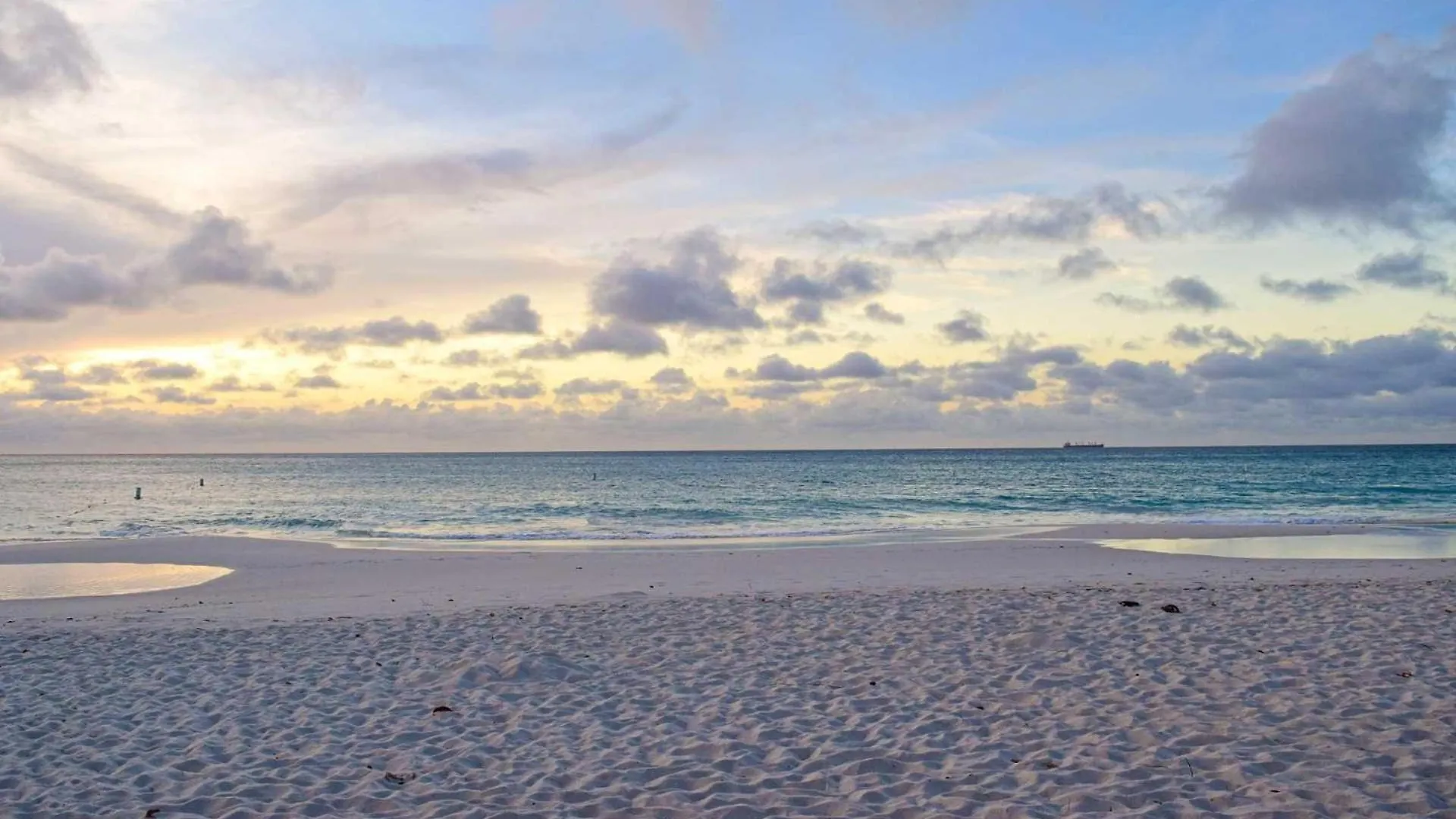 Eagle Beach - Sunset Dreams 2Br Condo - Lv303 Palm Beach