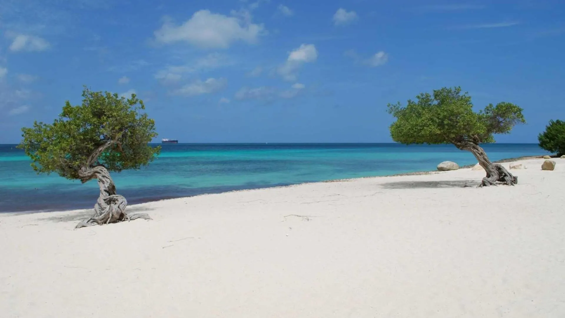 Eagle Beach - Sunset Dreams 2Br Condo - Lv303 Palm Beach Сasa de vacaciones